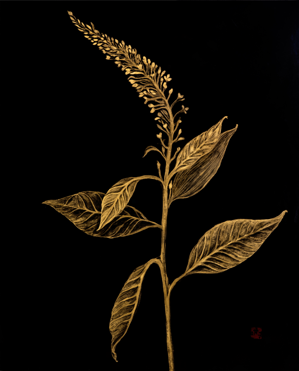 금결 - 오름